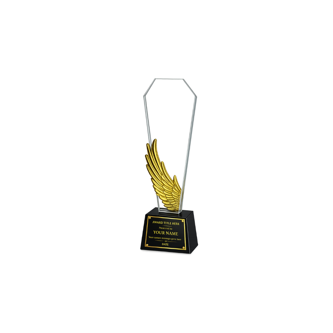 FP-10846 Corporate Trophy