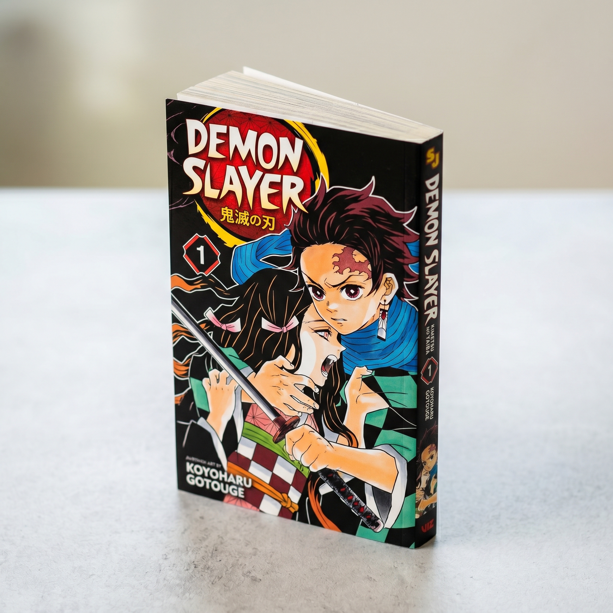 Custom Manga Book Printing